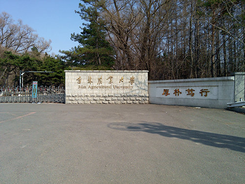 &#24320;&#20803;&#32593;&#39029;&#29256;&#95;&#24320;&#20803;&#40;&#20013;&#22269;&#41;